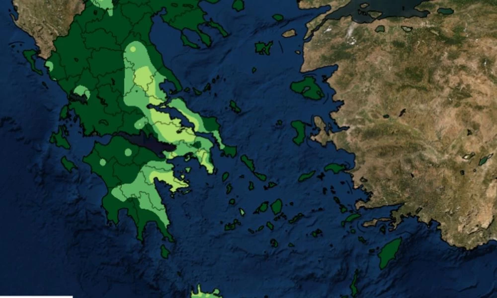 Meteo: Νέα υπηρεσία θα προειδοποιεί σε ποια σημεία είναι εύφλεκτη η νεκρή δασική καύσιμη ύλη